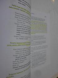 Destekleyici Psikoterapiye Giriş