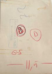 Bir bahçede boynundan bağlı olan aslanı severken çekilmiş olan küçük erkek-kız çocuğu fotoğrafı.ORJİNAL SİYAH & BEYAZ 21x18cm EBADINDA - 1940'LAR, 1950'LER, 1960'LAR ve 1970'LER