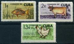 Efemera - Almanya SAAR Sürşarjlı, 1920 [Mi.Nr: SAAR D 31 I] Damgalı Fragman - kitantik - kitaLog