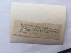 SUUDİ ARABİSTAN KRALI FAYSAL BİN ABDÜLAZİZ'İN ORİJİNAL FOTOĞRAFI - 12 x 9 cm EBADINDA - PRENS FAYSAL BİN ABDÜLAZİZ'İN, SUUDİ ARABİSTAN DELEGESİ OLARAK KATILIRKEN