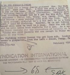 Bir evde koltukta oturan yavru aslan ile poz veren yetişkin kadın ve küçük çocukların olduğu bir fotoğraf.ORJİNAL SİYAH & BEYAZ 14x11cm EBADINDA - 1940'LAR, 1950'LER, 1960'LAR ve 1970'LER