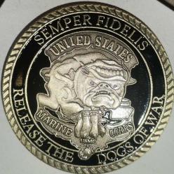 AMERİKA DENİZ PİYADELERİ KORUMA KAPSÜLDE ÇİL MADALYON  28,8 GRAM