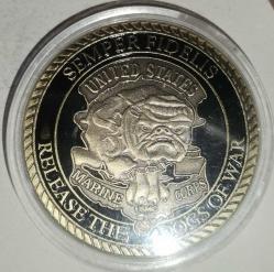 AMERİKA DENİZ PİYADELERİ KORUMA KAPSÜLDE ÇİL MADALYON  28,8 GRAM