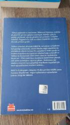 Kâbil'in Kırlangıçları
