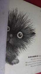 KARABÖCÜ HOŞGELDİ (KARA BÖCÜ SERİSİ 1)