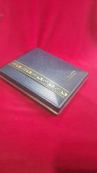 Amerikan hava üssü üstün başarı madalyası