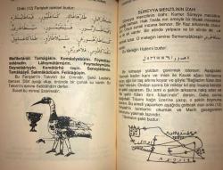 Davetname - Tıpkıbasım (Havas)