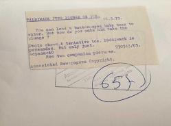 Yavrusu ile beraber su içerken çekilmiş olan yetişkin dişi kutup ayısı fotoğrafı. 16 Mart 1973 .ORJİNAL SİYAH & BEYAZ 20x14cm EBADINDA - 1940'LAR, 1950'LER, 1960'LAR ve 1970'LER