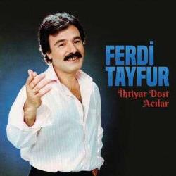 Ferdi Tayfur - İhtiyar Dost - Acılar (Plak)