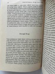 AVRUPA' DA YEMEĞİN TARİHİ