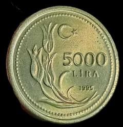1995 5000 Lira Çil Kalın