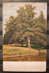 Efemera - PC.2070 SANAT RESİM IVAN ŞİŞKİN'İN AĞAÇ TEMALI TABLOSU POSTA KARTI - kitantik - kitaLog