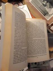 korkulacak bir şey yok - julian barnes