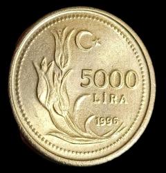 1996 5000 Lira Çil kalın