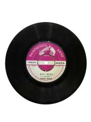 AHMET SEZGİN - ÇALI KUŞU / DÜNYADA BİR SALIM YOK