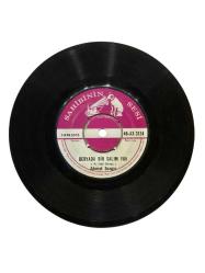 AHMET SEZGİN - ÇALI KUŞU / DÜNYADA BİR SALIM YOK