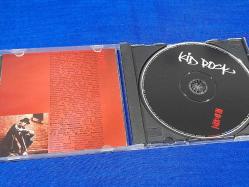 KID ROCK DEVIL WITHOUT A CAUSE MÜZİK CD