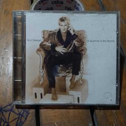 ROD STEWART / A SPANNER IN THE WORKS / CD