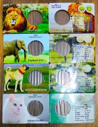 Hayvanlar Serisi 4 Adet Kapama ((Folder)) ((2010 Ankara Kedisi+Asya Aslanı+Sivas Kangal Köpeği+Fil))