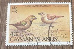 Cayman Adaları Pulu - Cayman Island Stamp -  Postadan Geçmiş Pul Filateli - DAMGALI - Sarı Yüzlü Çim Kuşu Temalı Pul, 40 PARA - YABANCI PULLAR, NOSTALJİK DOĞUM GÜNÜ HEDİYESİ