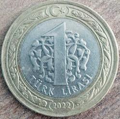 1 LİRA, 2022 ÇÇT ters