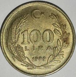 TÜRKİYE   1989   100 LİRA