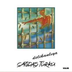 Delikanlıya (Plak) Çağdaş Türkü