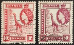 +++ TANGANYIKA KENYA UGANDA ZÜRAFALAR 1954 - DAMGALI , HALİYLE