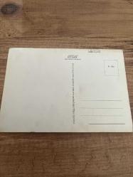 Bir kadın ve adam fotoğrafı Soykan kâğıt ürünleri ve pazarlama  kartpostalı  19x12 ebatında