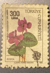 Türk Pulu - Turkish Stamp - Postadan Geçmiş Pul Filateli -  DAMGALI - SİKLAMEN ÇİÇEĞİ TEMALI PUL, 300 LİRA - Türkiye Cumhuriyeti - NOSTALJİK DOĞUM GÜNÜ HEDİYESİ