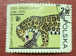 Polonya Pulu - Polska Stamp - Postadan Geçmiş Pul Filateli - Damgalı - Hayvanat Bahçesi - Varşova 1928-1978 - Jaguar ve Yavrusu Temalı Pul , 2.00 PARA - YABANCI PULLAR-NOSTALJİK DOĞUM GÜNÜ HEDİYESİ