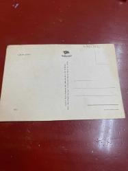 Türkan Şoray keskin color  kartpostalı 15x11 ebatında