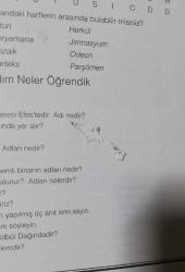 EFES ARININ GİZEMİ -