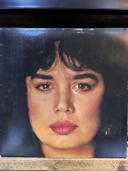SEZEN AKSU- AĞLAMAK GÜZELDİR DÖNEM 1981 PLAK