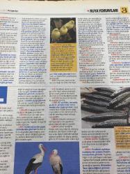 HÜRRİYET GAZETESİ HÜRRİYET KELEBEK 2 GAZETESİ DOĞUM GÜNÜ GAZETESİ - 31 Mart 2016 - rüyaların dili çözülüyor-terazi ve akrep burç yorumları-kahve-kamyon-ko-kapı-kar-kanalizasyon-lohusa-lisan-lokum-nafaka-naftalin-nakış-nane-nal-öküz-olta-martı-makarna-odun-resim-patlıcan-Terazi burcu- kadın terazi Burcu’nun yıl içi iş hayatı-terazi Burcu’nun yıl içi aşk hayatı-akrep burcu-akrep burcu kadını-akrep burcu-akrep burcu erkeği ve kadın-Antep Burcu’nun yıl içi iş hayatı