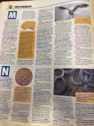 HÜRRİYET GAZETESİ HÜRRİYET KELEBEK 2 GAZETESİ DOĞUM GÜNÜ GAZETESİ - 31 Mart 2016 - rüyaların dili çözülüyor-terazi ve akrep burç yorumları-kahve-kamyon-ko-kapı-kar-kanalizasyon-lohusa-lisan-lokum-nafaka-naftalin-nakış-nane-nal-öküz-olta-martı-makarna-odun-resim-patlıcan-Terazi burcu- kadın terazi Burcu’nun yıl içi iş hayatı-terazi Burcu’nun yıl içi aşk hayatı-akrep burcu-akrep burcu kadını-akrep burcu-akrep burcu erkeği ve kadın-Antep Burcu’nun yıl içi iş hayatı