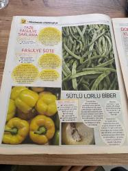 HÜRRİYET GAZETESİ HÜRRİYET KELEBEK 2 GAZETESİ DOĞUM GÜNÜ GAZETESİ - 8 Mart 2016 -kudret narı - domates kurusu - sütlü lorlu biber - meyve yaprağından salamura - taze fasulye saklama - fasulye sote - sütlü lorlu biber - domates kurusu- domates unu - domates ezmesi- biber salçası- domates salçası- meyve yaprağından salamura - yaprak kurusu - acı pulbiber - menemen sosu - mayonez - sarımsak saklama - havuçlu biberli domates sosu - kudret narı