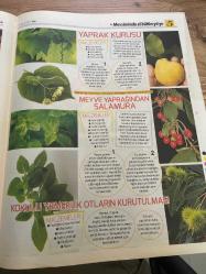 HÜRRİYET GAZETESİ HÜRRİYET KELEBEK 2 GAZETESİ DOĞUM GÜNÜ GAZETESİ - 8 Mart 2016 -kudret narı - domates kurusu - sütlü lorlu biber - meyve yaprağından salamura - taze fasulye saklama - fasulye sote - sütlü lorlu biber - domates kurusu- domates unu - domates ezmesi- biber salçası- domates salçası- meyve yaprağından salamura - yaprak kurusu - acı pulbiber - menemen sosu - mayonez - sarımsak saklama - havuçlu biberli domates sosu - kudret narı