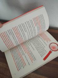 EYVAH CEVİZ ÇATIRDIYOR - ORTAOKUL DÜZEYİ