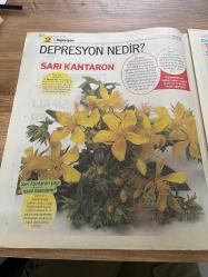 HÜRRİYET GAZETESİ HÜRRİYET KELEBEK 2 GAZETESİ DOĞUM GÜNÜ GAZETESİ -25 ŞUBAT  2016 -KALP DAMAR DEPRESYON VE TİROİT İÇİN ŞİFALI YEMEKLER - Ahmet maranki - depresyon nedir - sarı kantaron - tutmaç çorbası - lavanta şerbeti - stres için kür - zeytinyağlı taze fasulye - düzenli beslenme ve stressiz yaşam - alıç bitkisi ve çiçeği - balık çorbası - balkabağı tatlısı - meyveli yulaf ezmesi - kozmik kalp damar kürü - kalp ve tansiyon için sarımsak kürü - dereotu çorbası - dereotu salatası