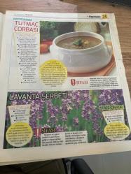 HÜRRİYET GAZETESİ HÜRRİYET KELEBEK 2 GAZETESİ DOĞUM GÜNÜ GAZETESİ -25 ŞUBAT  2016 -KALP DAMAR DEPRESYON VE TİROİT İÇİN ŞİFALI YEMEKLER - Ahmet maranki - depresyon nedir - sarı kantaron - tutmaç çorbası - lavanta şerbeti - stres için kür - zeytinyağlı taze fasulye - düzenli beslenme ve stressiz yaşam - alıç bitkisi ve çiçeği - balık çorbası - balkabağı tatlısı - meyveli yulaf ezmesi - kozmik kalp damar kürü - kalp ve tansiyon için sarımsak kürü - dereotu çorbası - dereotu salatası