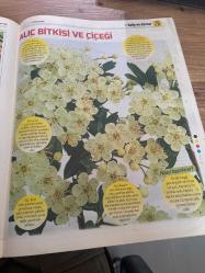 HÜRRİYET GAZETESİ HÜRRİYET KELEBEK 2 GAZETESİ DOĞUM GÜNÜ GAZETESİ -25 ŞUBAT  2016 -KALP DAMAR DEPRESYON VE TİROİT İÇİN ŞİFALI YEMEKLER - Ahmet maranki - depresyon nedir - sarı kantaron - tutmaç çorbası - lavanta şerbeti - stres için kür - zeytinyağlı taze fasulye - düzenli beslenme ve stressiz yaşam - alıç bitkisi ve çiçeği - balık çorbası - balkabağı tatlısı - meyveli yulaf ezmesi - kozmik kalp damar kürü - kalp ve tansiyon için sarımsak kürü - dereotu çorbası - dereotu salatası