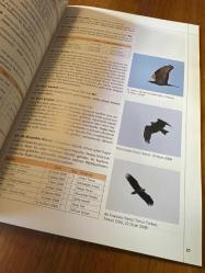 İstanbul'un Kuşları 2008 : İstanbul Kuş Gözlem Topluluğu