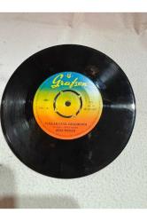 Zeki müren - seninle bir sonbahar - yollar uzak gelemedim - plak 9 puan