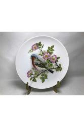 alman kaiser kuş resimli duvar tabağı 20 cm çapında