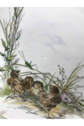 Alman Kaiser Duvar Tabağı 19,8 Cm Çapında