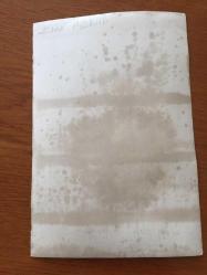 YEŞİLÇAM'IN GÜZEL YILDIZI ESEN PÜSKÜLLÜ'NÜN ORİJİNAL FOTOĞRAFI - 18 x 12 cm EBADINDA - ESEN PÜSKÜLLÜ 1960'LARDA SİYAH SAÇLI HALİYLE EVİNDE KOLTUĞUN ÜZERİNDE POZ VERİRKEN