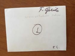 YEŞİLÇAM'IN YILDIZI FATMA GİRİK'İN ORİJİNAL FOTOĞRAFI - 17 x 12,5 cm EBADINDA - FATMA GİRİK ÇARŞAMBA GÜNÜ SAHNE ALDIĞI KADINLAR MATİNESİNDE BEYAZ ŞIK ELBİSESİYLE ŞARKI SÖYLERKEN