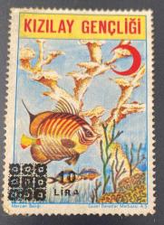 Türk Pulu - Turkish Stamp -  Postadan Geçmiş Pul Filateli - DAMGALI - KIZILAY GENÇLİĞİ - MERCAN BALIĞI TEMALI PUL , 10  LİRA - Türkiye Cumhuriyeti - NOSTALJİK DOĞUM GÜNÜ HEDİYESİ