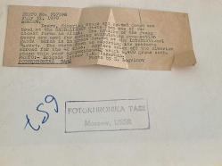 At üstünde sürü halindeki geyiklerin bakıcılığını yaparken çekilmiş olan yetişkin bir erkek fotoğrafı.ORJİNAL SİYAH & BEYAZ 25x20cm EBADINDA - 1940'LAR, 1950'LER, 1960'LAR ve 1970'LER